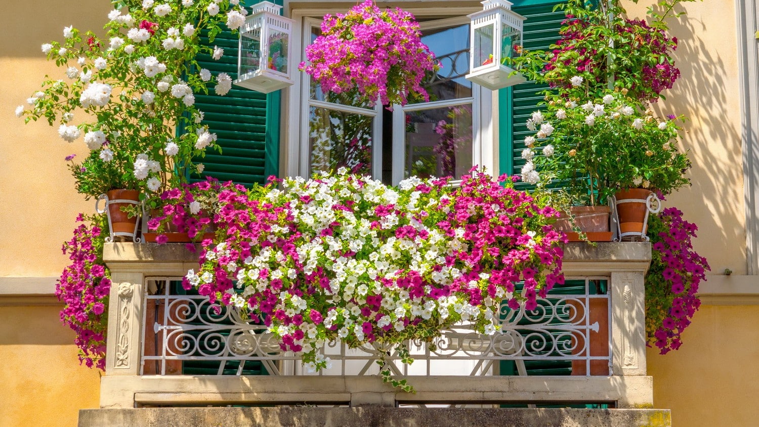 Balcons, terrasses i jardins florits