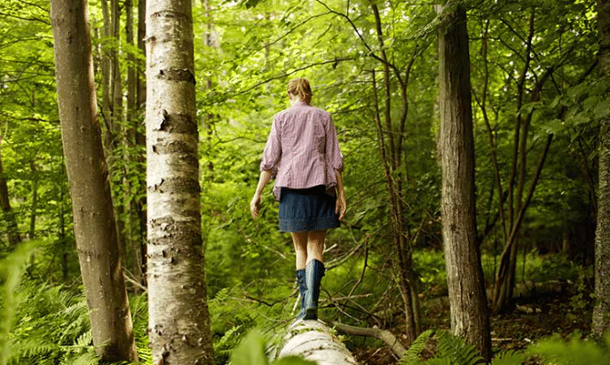 Curs com alinear-nos amb la natura